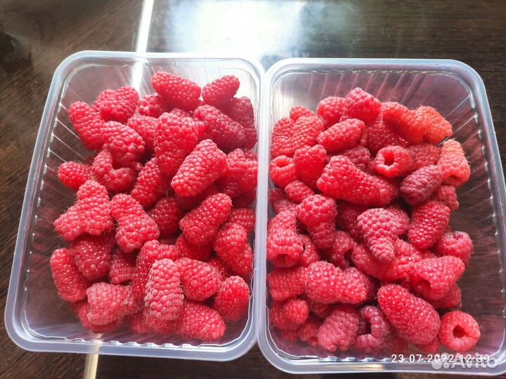 Малина домашняя