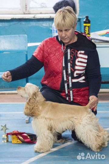 Вязка