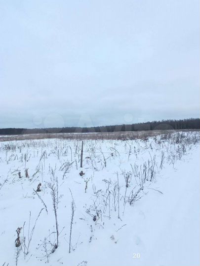 Участок 10,6 сот. (ИЖС)