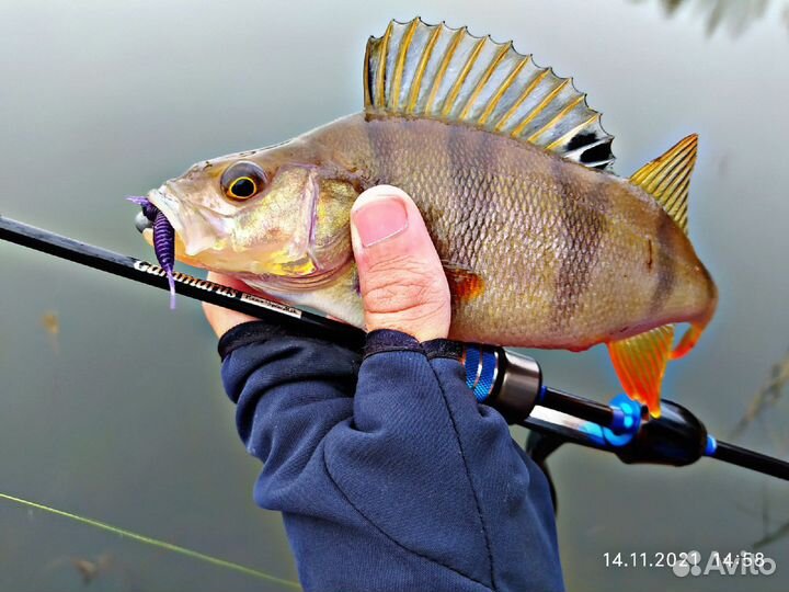 Спиннинг Gammarus nano spin msk с двумя хлыстами