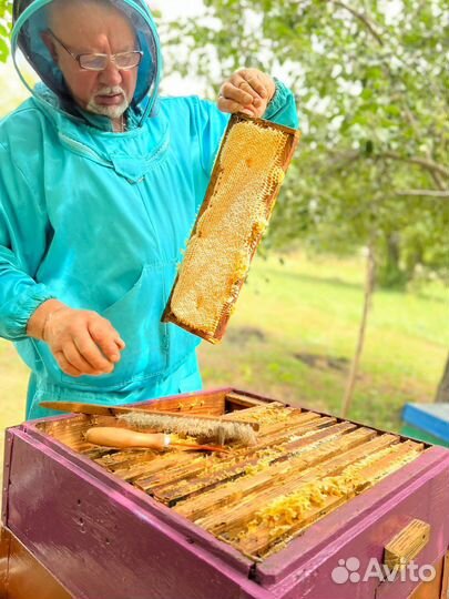 Тамбовский Мёд