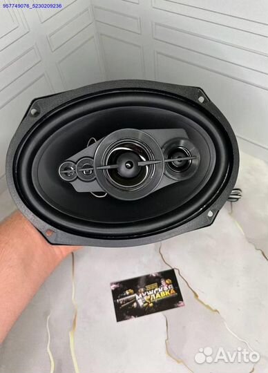 Новая автомобильная акустика Pioneer TS-A6995