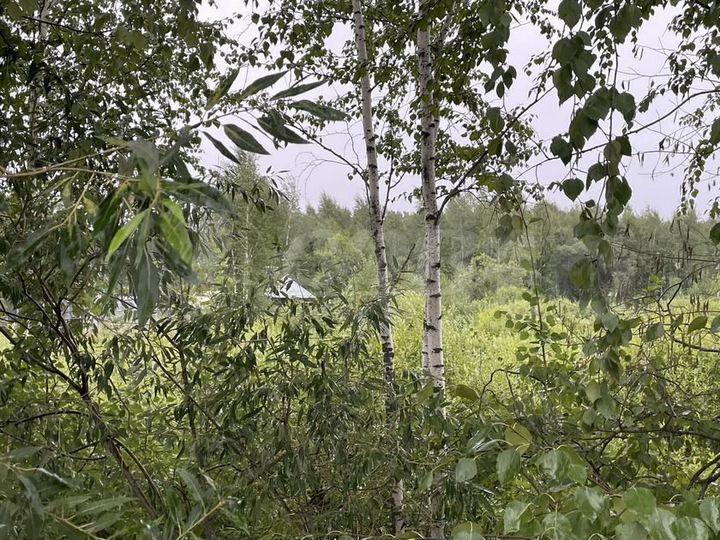 Участок 11,2 сот. (СНТ, ДНП)