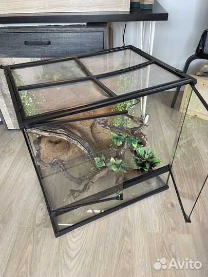 Террариум 60 45 60