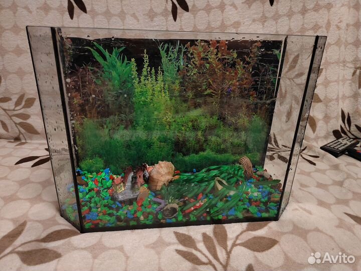 Аквариум