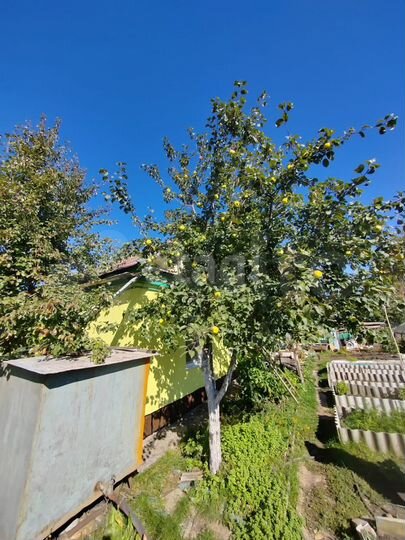 Дом 81 м² на участке 7,1 сот.