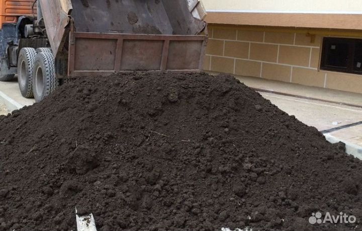 Чернозем плодородный