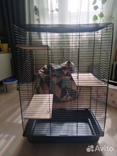 Клетка для крыс бу