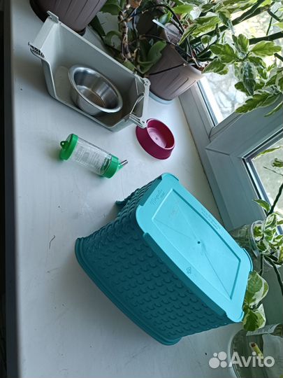 Клетка для ежа