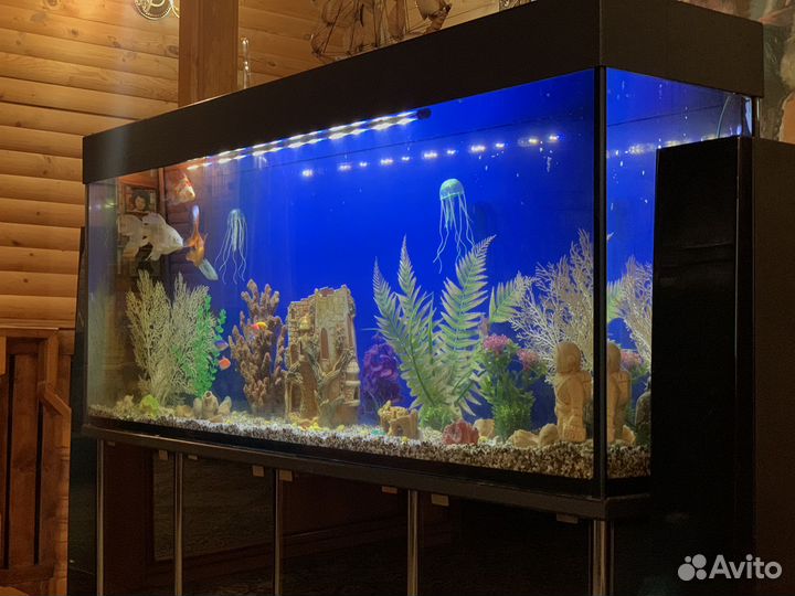 Аквариум с тумбой 400 литров в идеальном состоянии