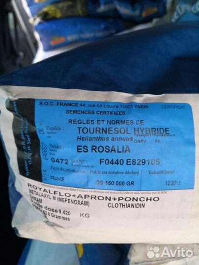 Семена подсолнечника и кукурузы