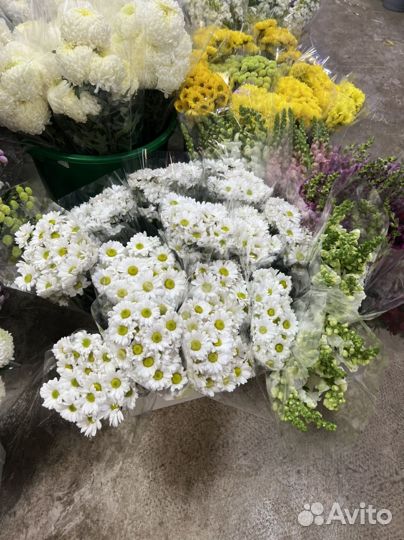 Хризантема кустовая букеты