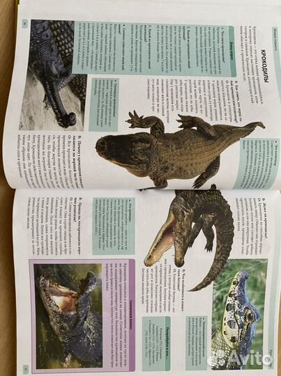 Детская энциклопедия