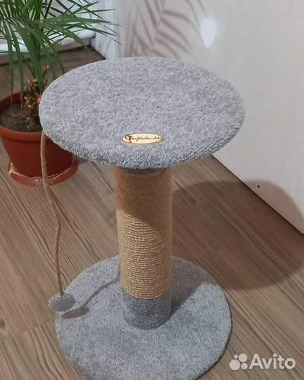 Когтеточка