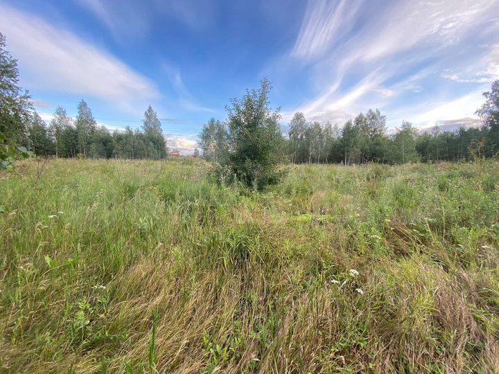 Участок 10 сот. (ИЖС)