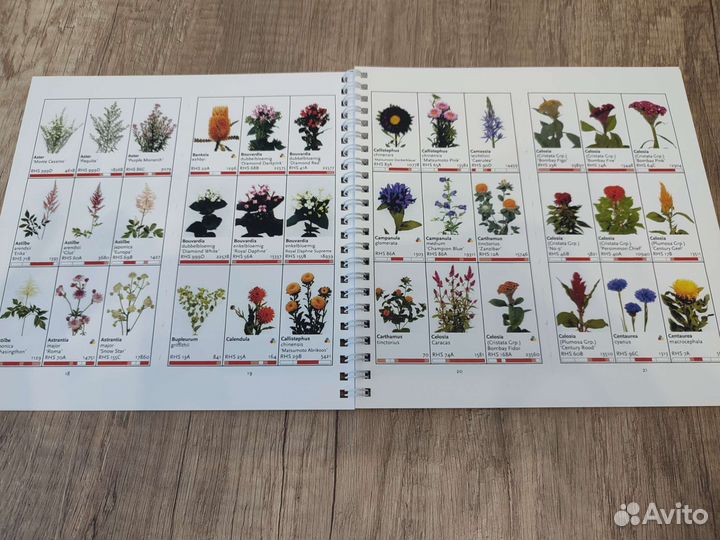 Каталог цветов