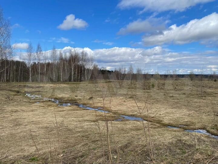 Участок 48 га (ИЖС)