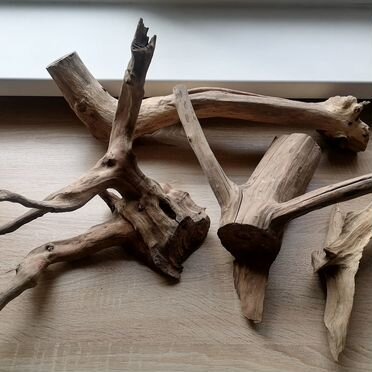 Продам корягу в аквариум