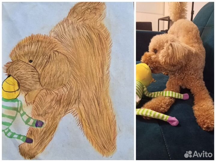 Рисую ваших питомцев