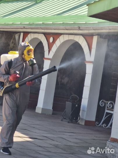 Дезинфекция, клещи, клопы, тараканы, комары