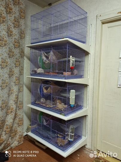 Клетка Triol 504 76х46х45,5см голубая