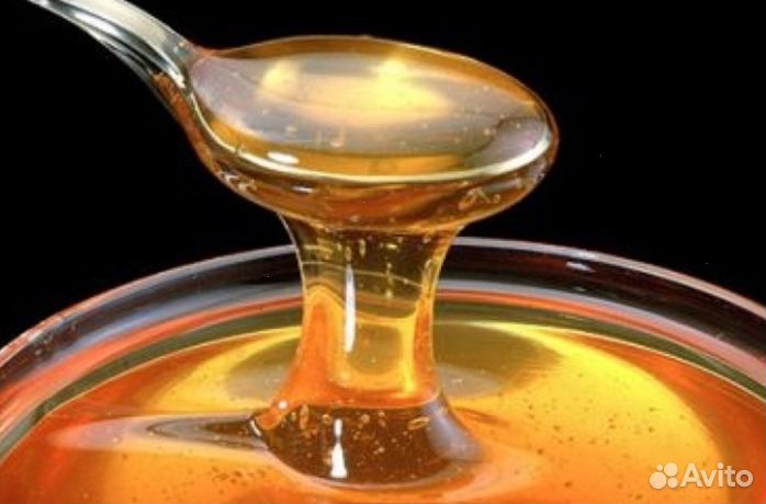 2023 года Мед из Алтая опт