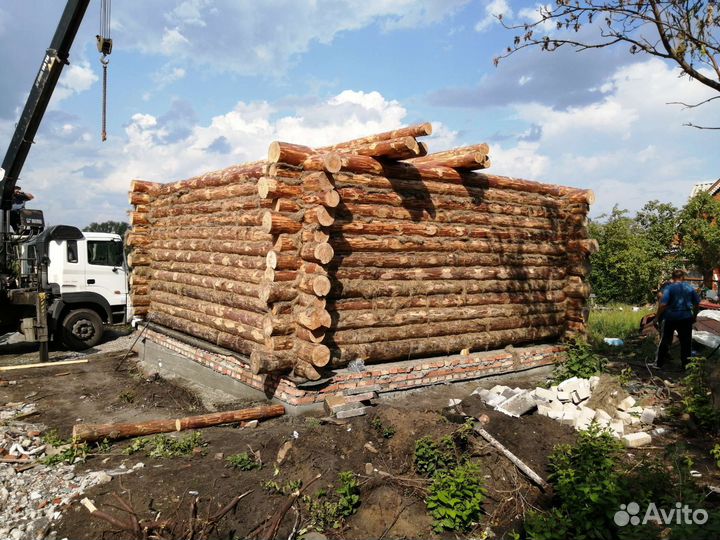 Срубы сосновые для дома и бани в наличии
