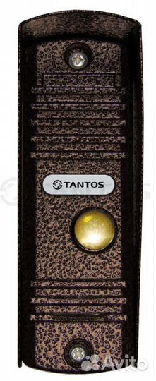 Вызывная панель домофона Tantos Walle