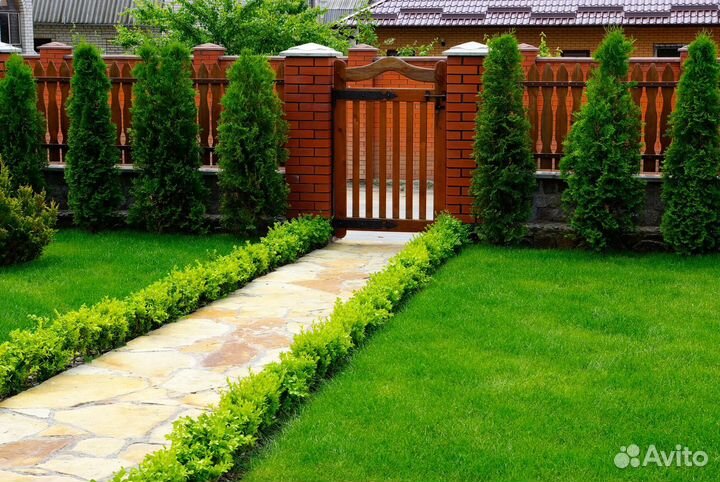 Рулонный газон производство, доставка, укладка