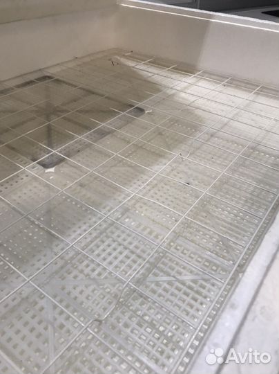 Инкубатор для яиц автоматический несушка