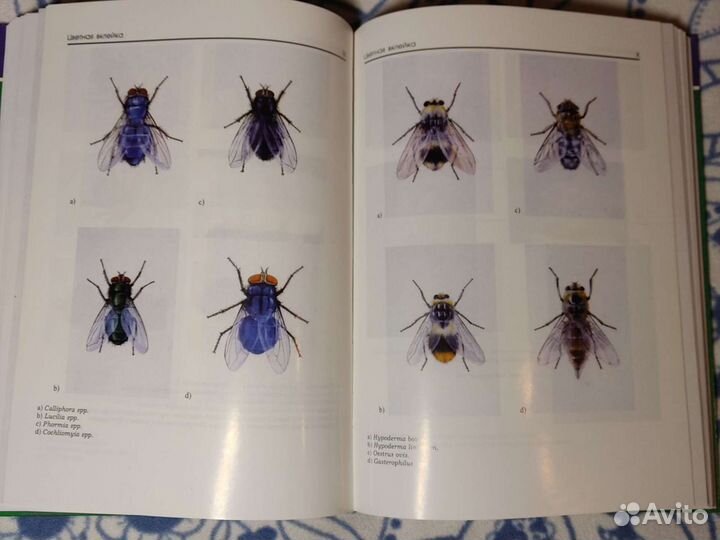 Ветеринарная фармакология, паразитология, терапия