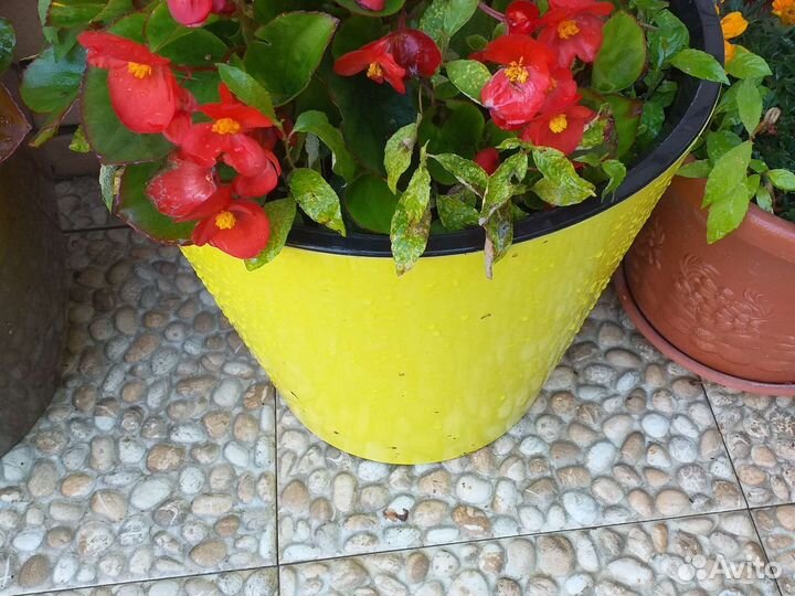 Уличные вазоны- кашпо для цветов