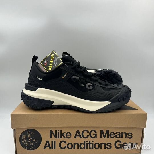 Кроссовки Nike ACG Mountain Fly 2 Low