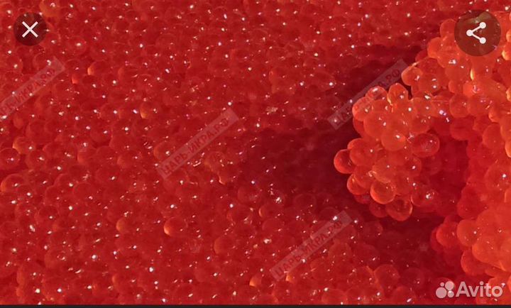 Красная икра горбуши