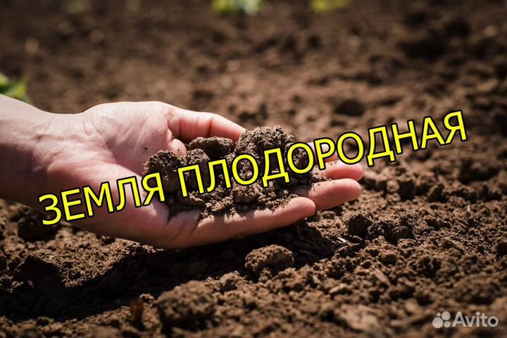 Грунт Полевой