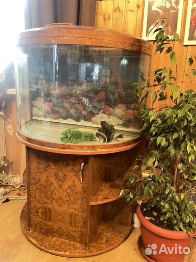 Аквариум с тумбой Джебо
