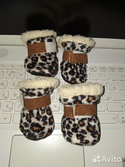 Ботинки для маленьких собак