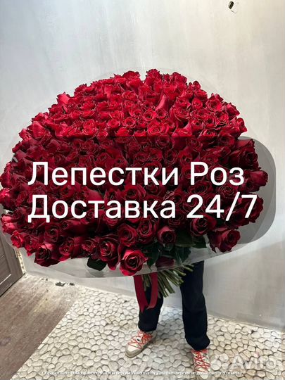 Лепестки роз 24/7