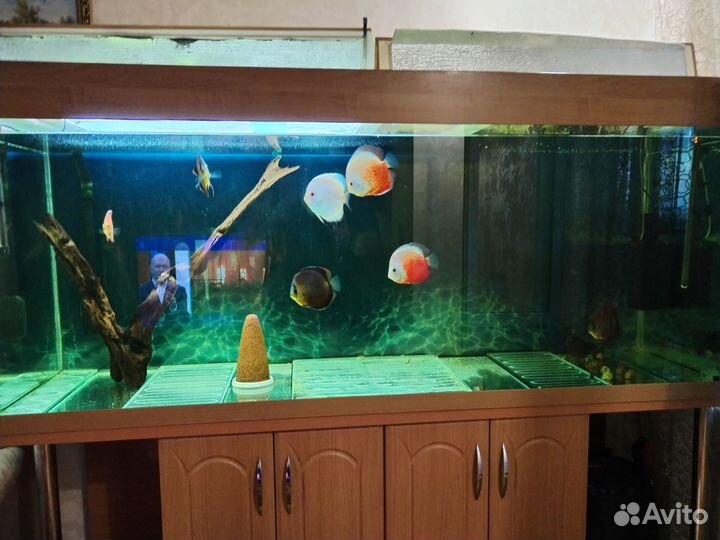 Аквариум с тумбой