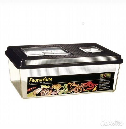 Террариум фаунариум