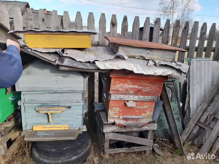 Улей для пчел бу