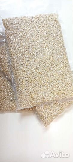 Орех кедровый ядро.Свежий