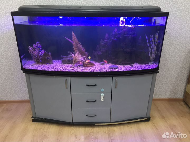 Аквариум в полном комплекте