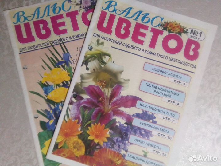 Кулинария, сад и огород,города России