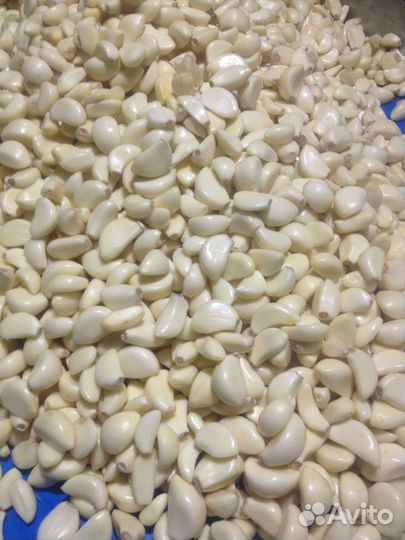 Чеснок (свежий) очищенный