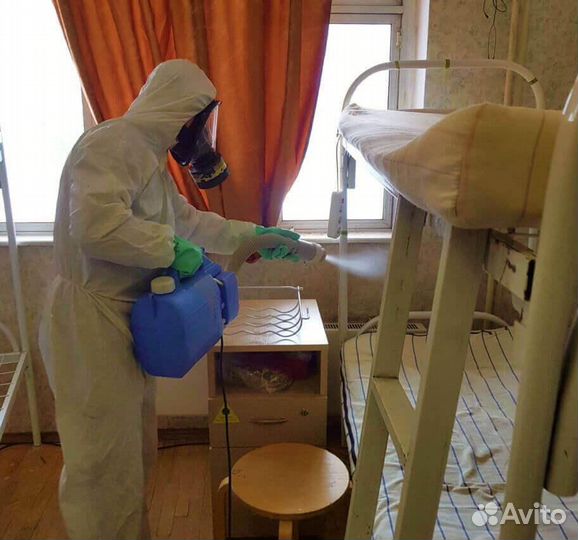 Уничтожение клопов, тараканов, мышей. Дезинфекция