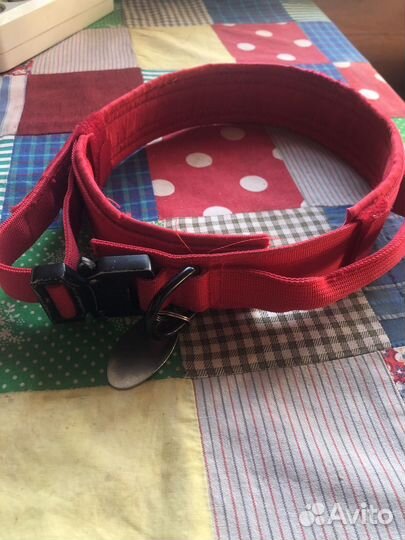 Ошейник для большой собаки XXL