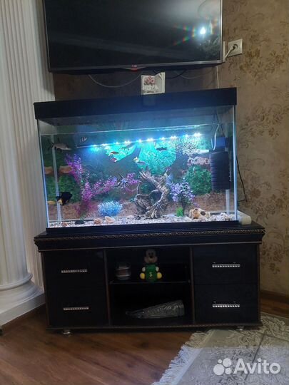 Аквариум