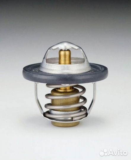 Tama W44DX-82 Термостат