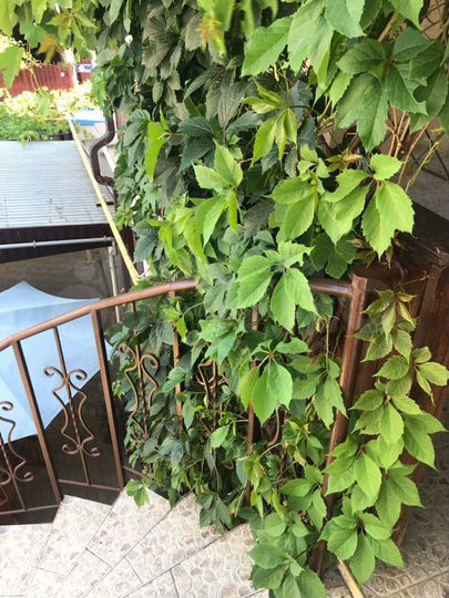 Комната 16 м² в 1-к., 3/3 эт.